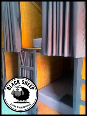 The Black Sheep Hostel